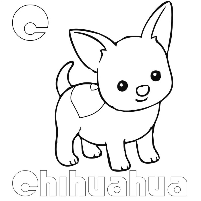 Animated coloring sheets of chiwawas