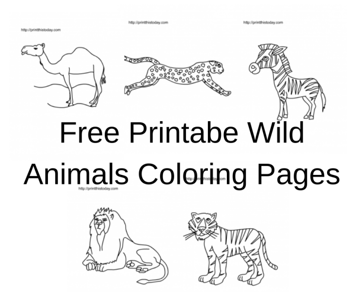 Free in the wild animal coloring pages