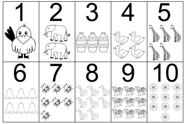 Animal coloring pages by number