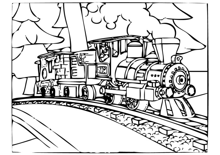 Polar express coloring book