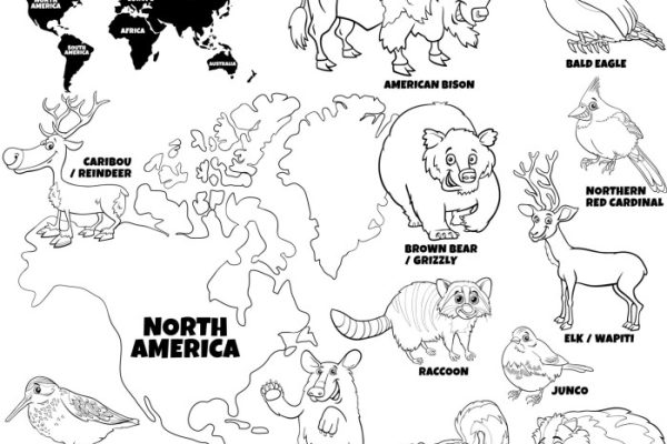 North america animals coloring page