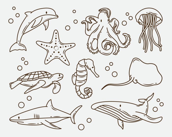 Animated sealife coloring pages