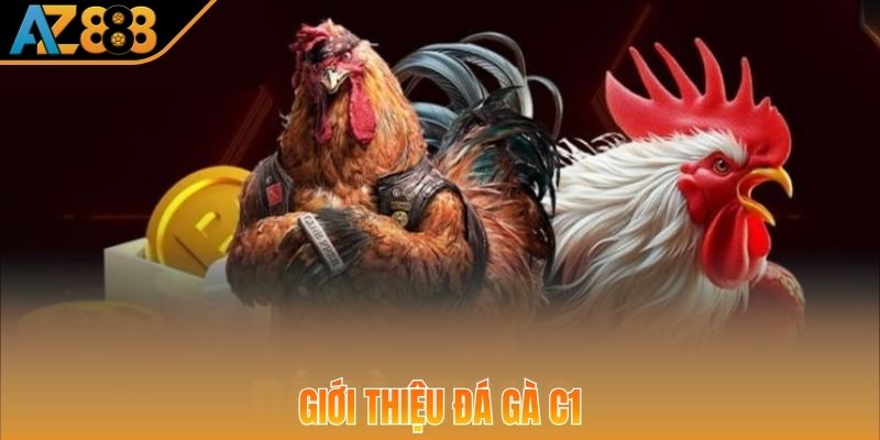 Thông tin giới thiệu về giải đấu chọi gà C1 cực hot