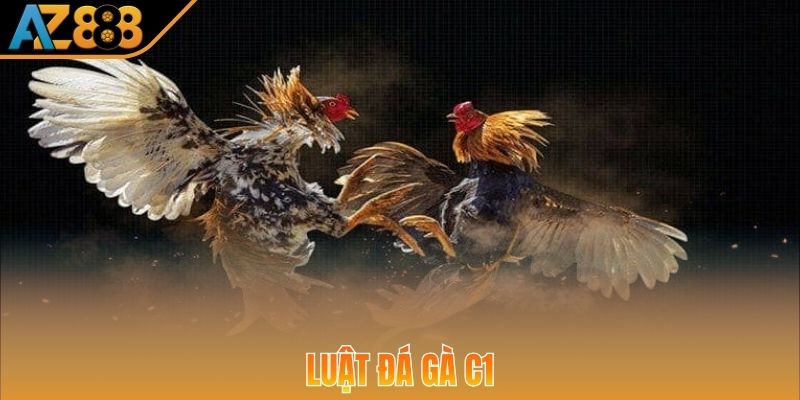 Quy tắc khi tham gia các trận đá gà C1